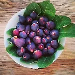팜스테이 Masseria Giovanni