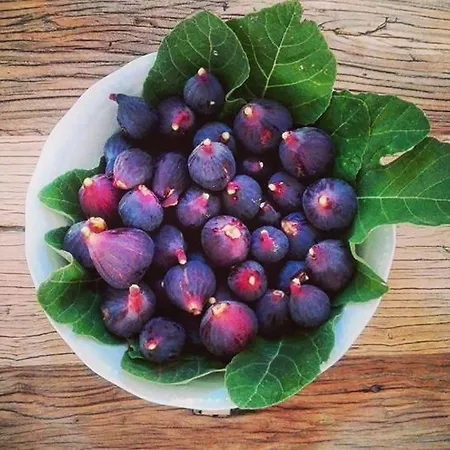 Séjour à la ferme Masseria Giovanni