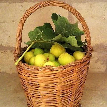 Masseria Giovanni Martano